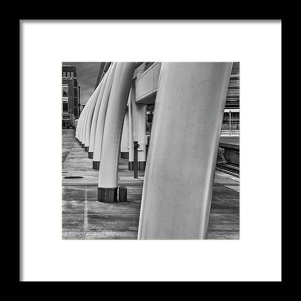 Architecture Framed Print featuring the photograph Whale Ribs by Tony Locke