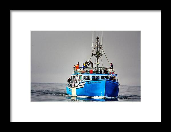 Whale Watching Long Island Nova Scotia Freeport Whales Boats Sea Blue Framed Print featuring the photograph Whale Watching by David Matthews