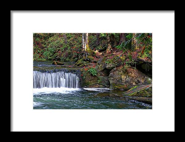 Whatcom Framed Print featuring the photograph Whatcom Falls in Fall by Rick Lawler