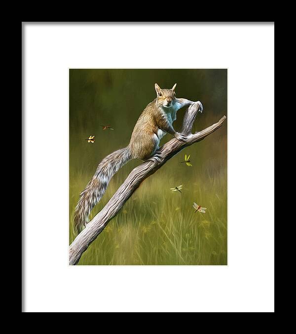 Wilklife Framed Print featuring the photograph Whats Up by Cathy Kovarik