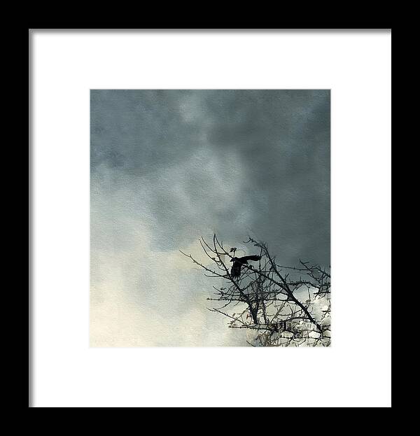 Crow Framed Print featuring the digital art Where the Crow Fkies by Diana Rajala