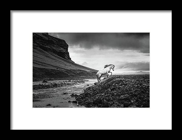 Icelandic Horse Framed Print featuring the photograph Where there is no path II - Horse Art by Lisa Saint