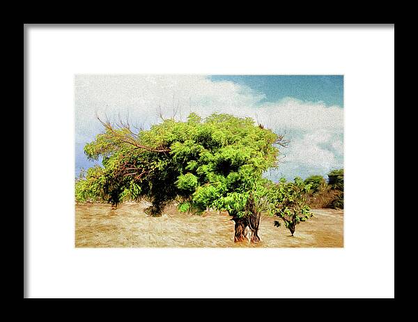 Tree Framed Print featuring the photograph Whichever Way the Wind Blows by Ola Allen