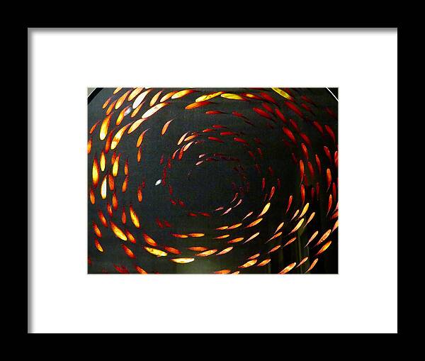 Spirals Framed Print featuring the photograph School in Session by Kerry Obrist