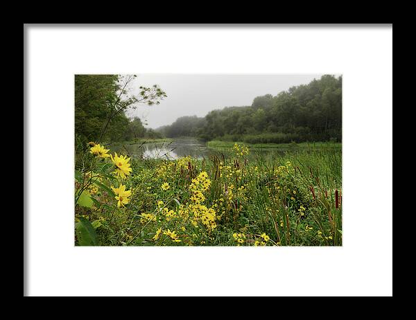 Wildflowers Framed Print featuring the photograph Whisper of Autumn - foggy Compass plant wildflowers on banks of the Yahara river by Peter Herman