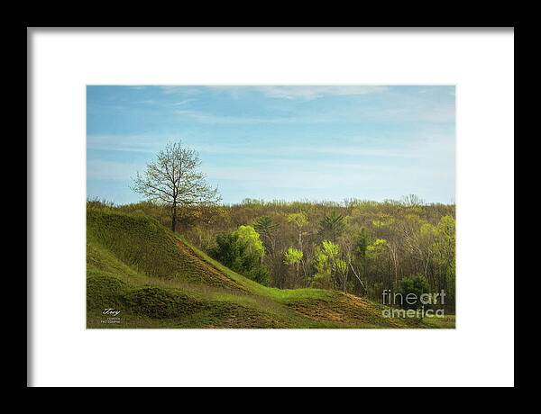Nature Framed Print featuring the photograph Whitcomb Creek Bud Break by Trey Foerster