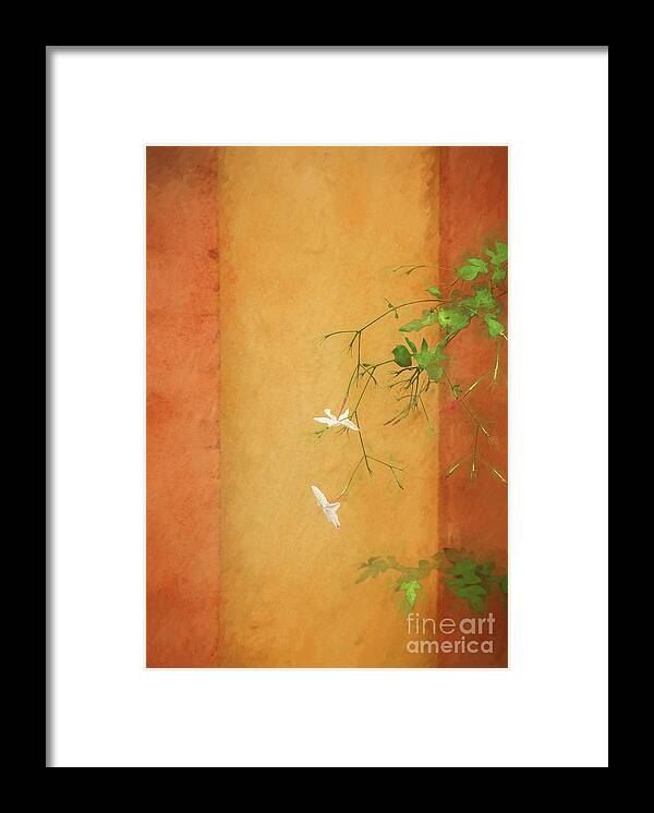 Flower Framed Print featuring the photograph White Flower With Orange and Ochre Wall by Philip Preston