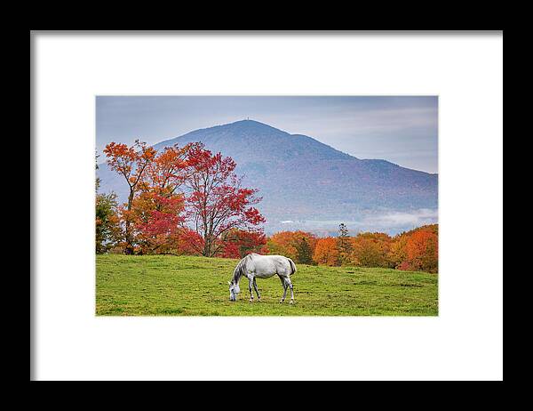 Vermont Framed Print featuring the photograph White Horse in Fall by Tim Kirchoff