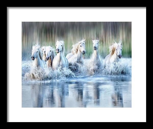 Horses Framed Print featuring the photograph White Horses of the Camargue by Phyllis Burchett