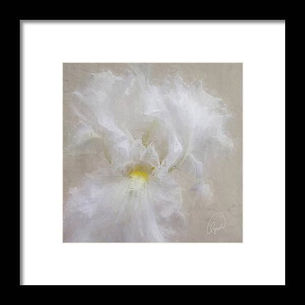 White Framed Print featuring the photograph White Iris IV by Karen Lynch