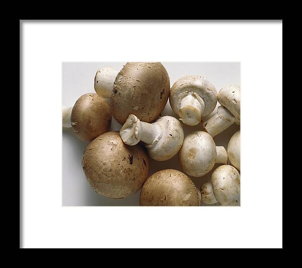 White Background Framed Print featuring the photograph White Mushrooms & Brown Mushrooms by Eising