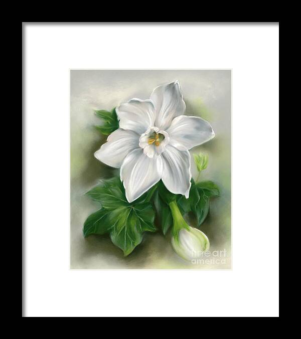 Botanical Framed Print featuring the painting White Narcissus with Ivy Leaves by MM Anderson