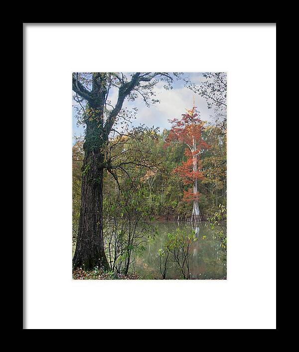 Tim Fitzharris Framed Print featuring the photograph White River, White River National Wildlife Refuge, Arkansas by Tim Fitzharris