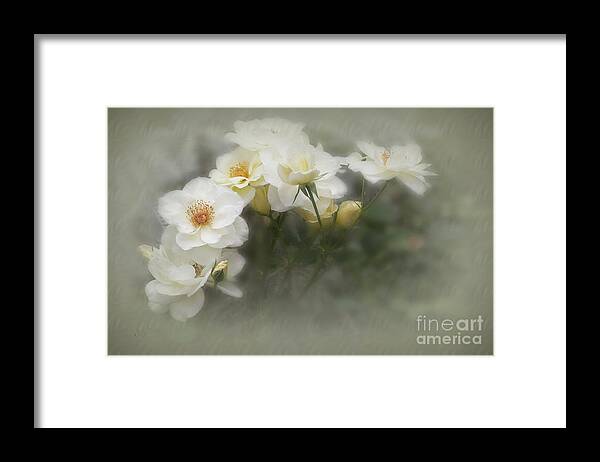 Roses Framed Print featuring the photograph White Roses 2 by Elaine Teague