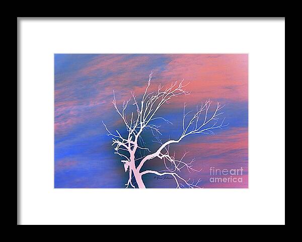 Creative Art Framed Print featuring the photograph White Tree by Yumi Johnson