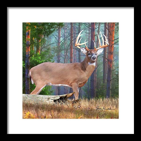 Whitetail Deer Framed Print featuring the painting Whitetail Deer Art Squares - Twelve Point Whitetail Deer Buck by Dale Kunkel Art