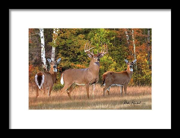 Whitetail Deer Framed Print featuring the painting Whitetail Deer Art - The Record Breaker by Dale Kunkel Art