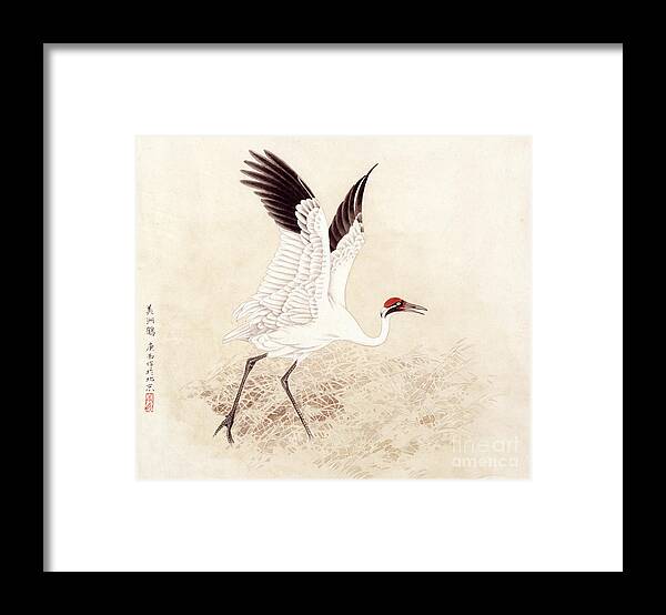 Zhan Gengxi Framed Print featuring the painting Whooping Crane by Zhan Gengxi