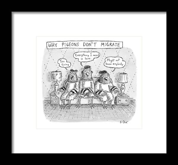 A26527 Framed Print featuring the drawing Why Pigeons Don't Migrate by Roz Chast