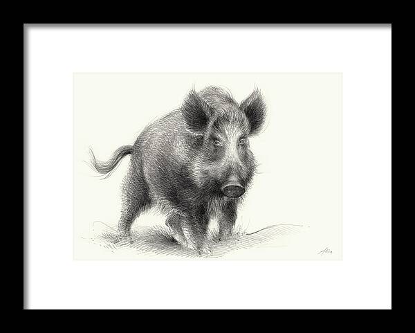 Wilderness Framed Print featuring the drawing Wild boar by Adriana Mueller