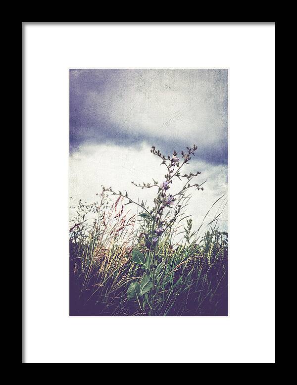 Land Framed Print featuring the photograph Wild flower by Yasmina Baggili