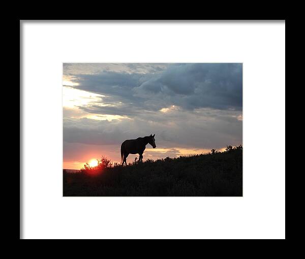 Wild Horse Framed Print featuring the photograph Wild Horse at Sun Down 2 by Amanda R Wright