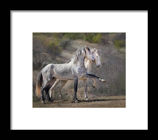Wild Horses Framed Print featuring the photograph Wild Horses - Striking a Pose by Sylvia Goldkranz