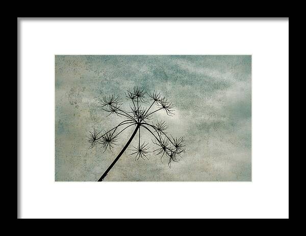Plant Framed Print featuring the photograph Wild of the garden by Yasmina Baggili