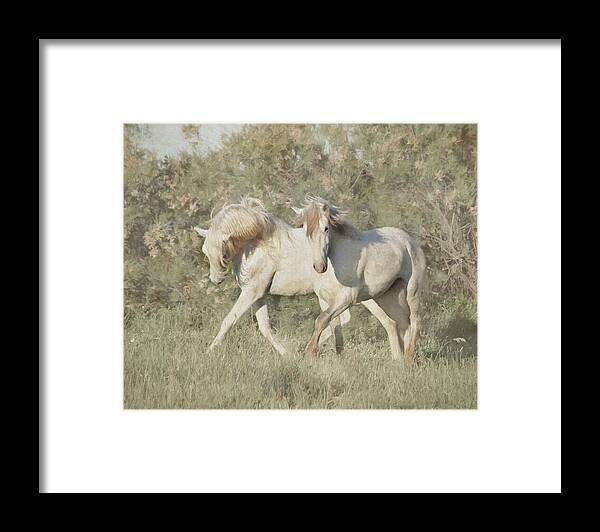 Horse Framed Print featuring the photograph Wild Stallions of the Camargue by Karen Lynch