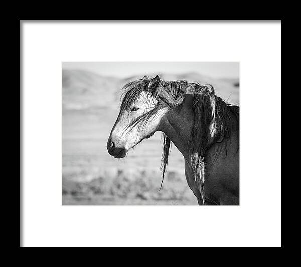 Wild Horse Framed Print featuring the photograph Wild Wind Knots by Mary Hone