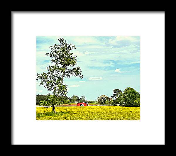 Wildflower Framed Print featuring the photograph Wildflower Field by Lee Darnell
