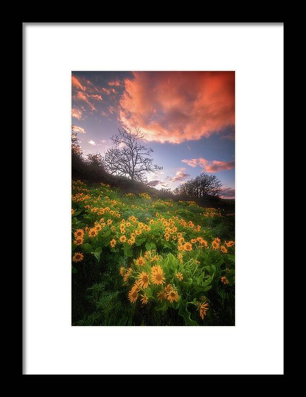 Sunset Framed Print featuring the photograph Wildflower Sunset by Darren White