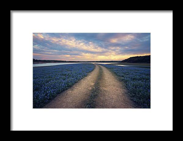 Muleshoe Bend Framed Print featuring the photograph Wildflower Way by Slow Fuse Photography