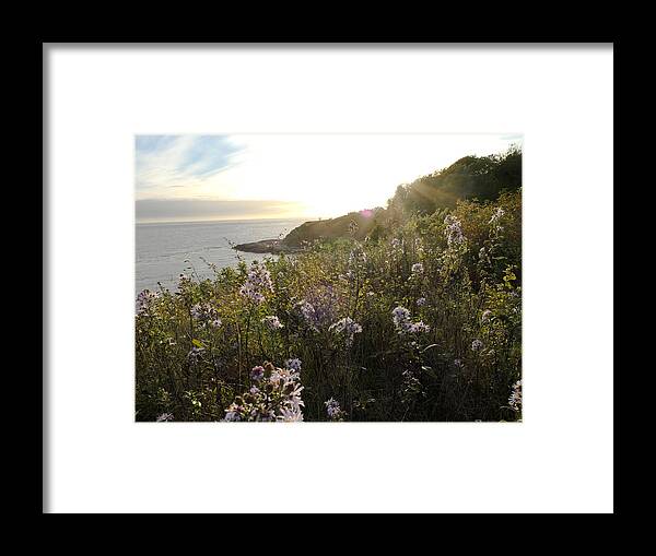 Outdoors Framed Print featuring the photograph Wildflowers Above Sea by Silentfoto