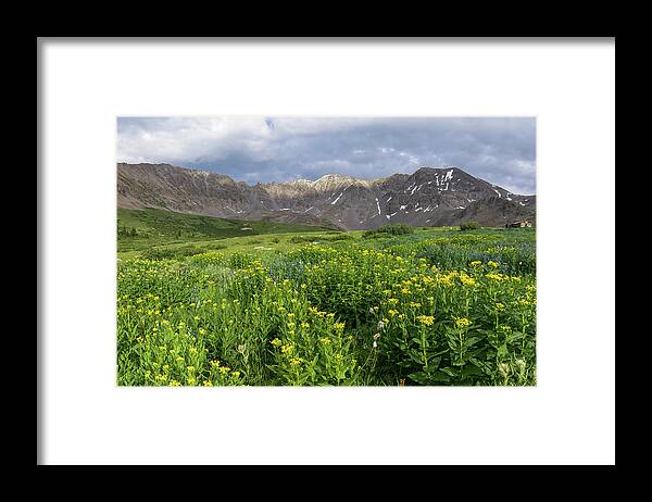 Breckenridge Framed Print featuring the photograph Wildflowers in Mayflower Gulch by Aaron Spong