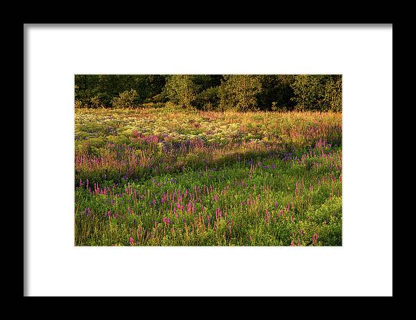Wildflowers Framed Print featuring the photograph Wildflowers by Rod Best