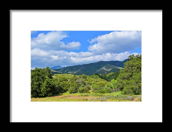 Wildwood Canyon State Park Framed Print featuring the photograph Wildwood Canyon State Park by Kyle Hanson