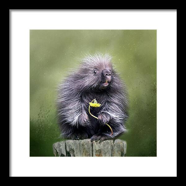 Porcupine Framed Print featuring the digital art Will You Be Mine? by Nicole Wilde
