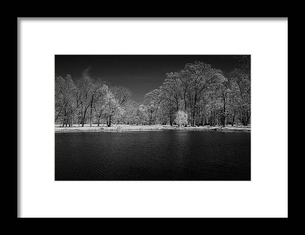 Trees Framed Print featuring the photograph Willow tree at the pond by Alan Goldberg