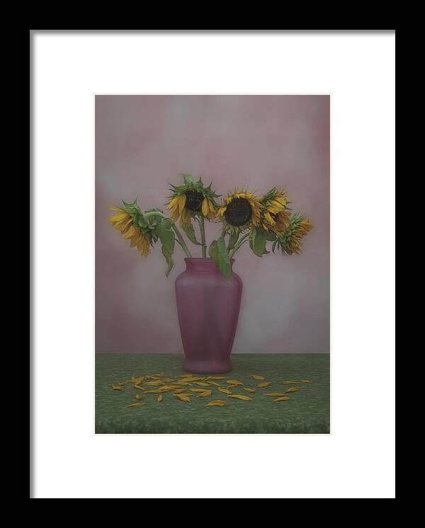 Stilll Life Framed Print featuring the photograph Wilting sunflowesr, beauty in decay by Alessandra RC