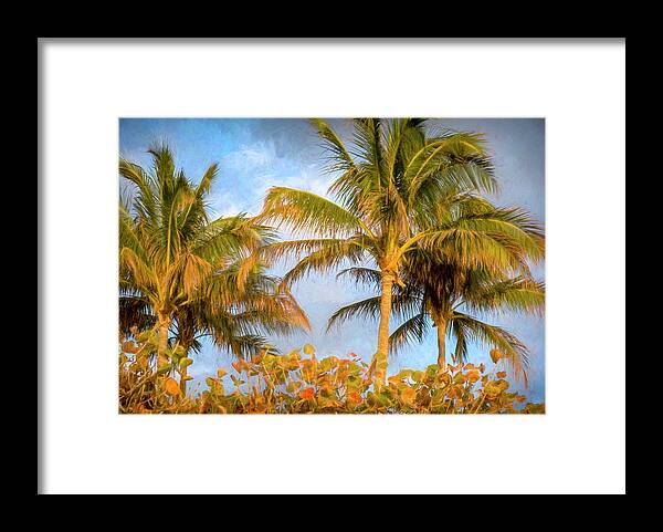 Landscape Framed Print featuring the photograph Wind and Sun Through The Palm Trees by Michael Smith