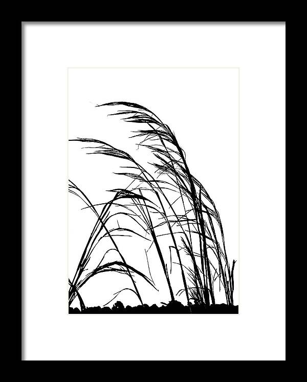 Grass Framed Print featuring the photograph Wind Blown by Karen Sirnick