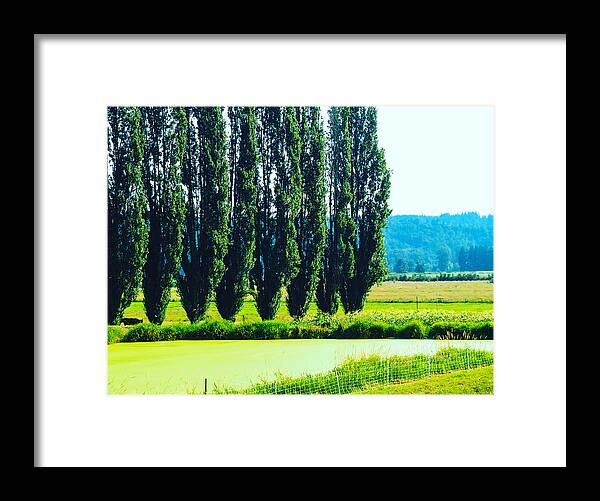 Green Framed Print featuring the photograph Wind Break by Grey Coopre
