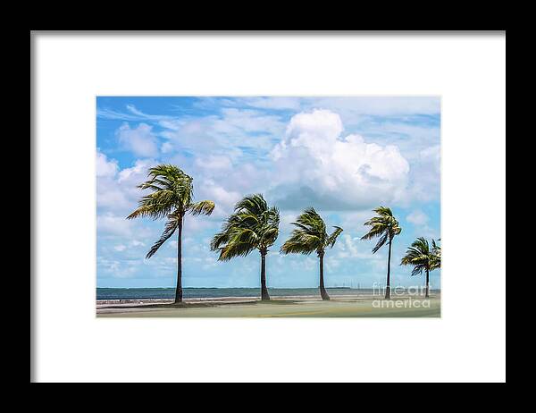 Blowing Sand Framed Print featuring the photograph Wind Off the Gulf by Susan Vineyard