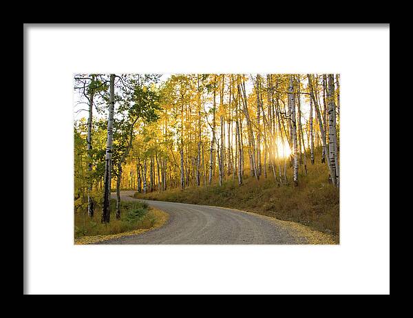 Colorado Framed Print featuring the photograph Winding Road by Wesley Aston
