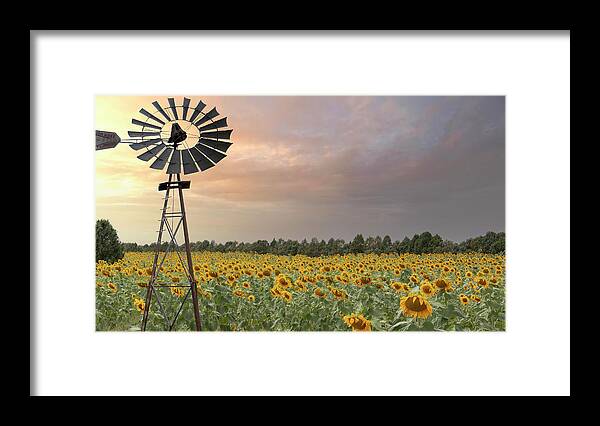  Framed Print featuring the photograph Windmill in a field of sunflowers by Laura Terriere