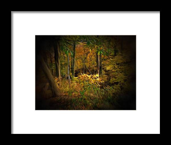 Forest Framed Print featuring the photograph Window into the Forest by Christopher Reed