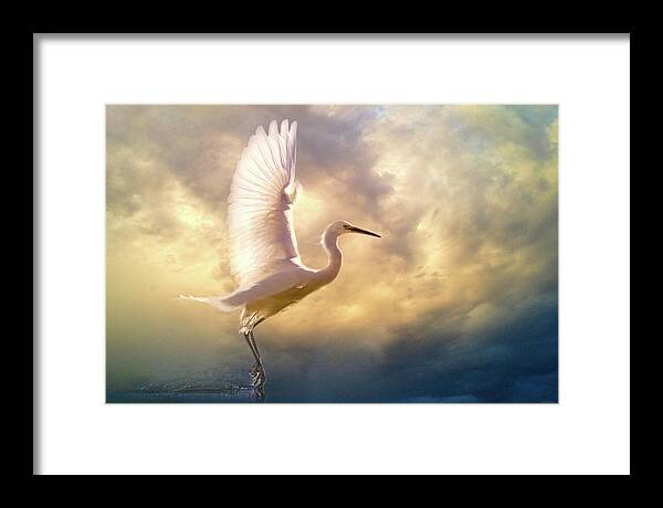 Egret Framed Print featuring the digital art Wings of Light by Nicole Wilde