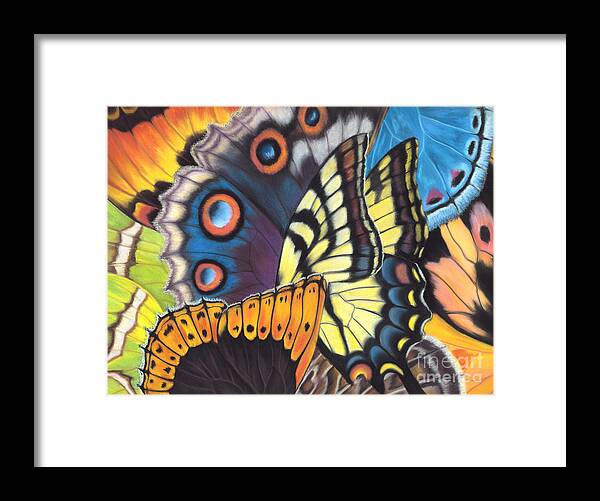 Butterflies Framed Print featuring the painting Wings of North Amerca by Lucy Arnold