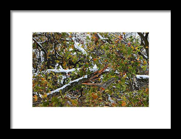 Winter Framed Print featuring the photograph Winter Abstract Three by Glenn McCarthy Art and Photography